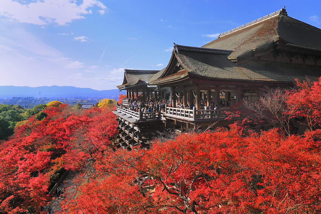 二宮金次郎 / 二宮尊徳の生涯（歴史）について