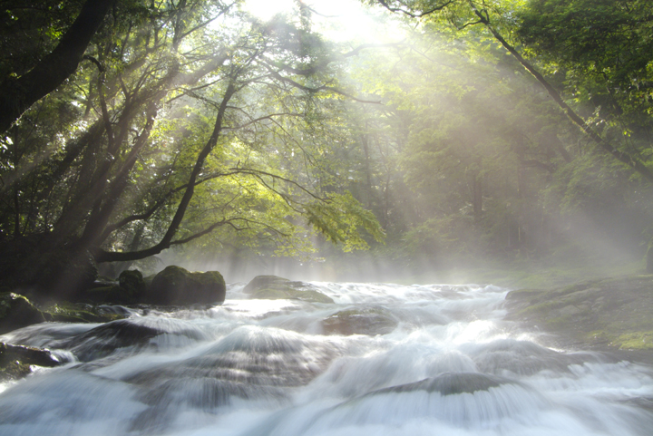 二宮金次郎に人生を学び、二宮尊徳に経営を学ぶ。