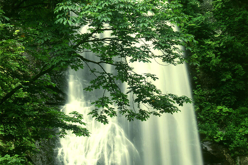 二宮金次郎 / 二宮尊徳とは（総論）